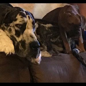 Meet your Posher, Madeena